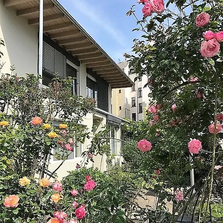 Stadtoase Koblenz Кобленц Экстерьер фото